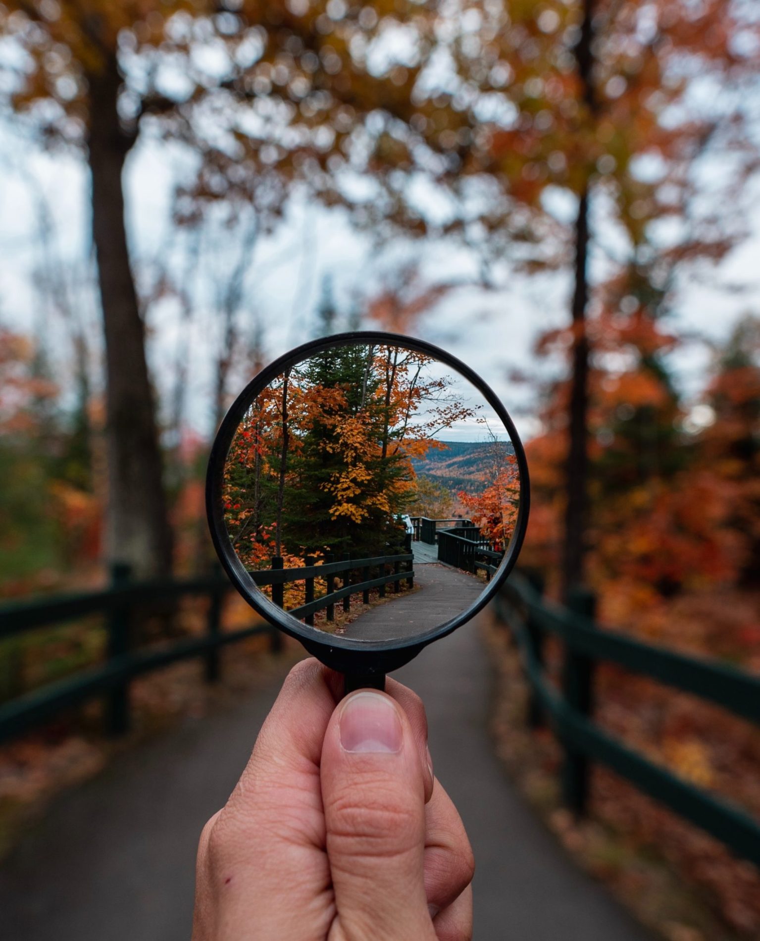 steven-wright-mq8QogEBy00-unsplash (1) steven-wright-mq8QogEBy00-unsplash (1)